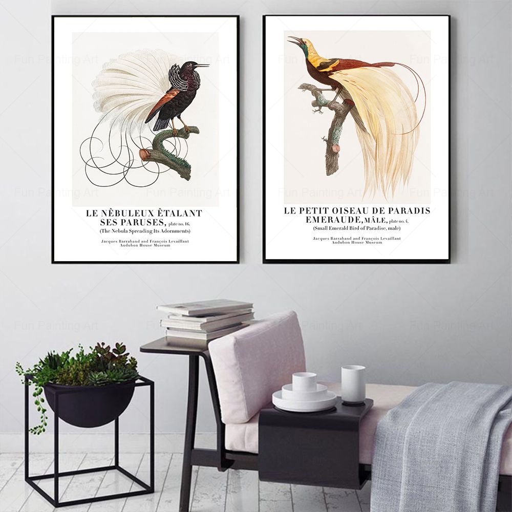 Vintage Paradise Bird Wall Art - огляд і ціна Furniture Paradise & Hardware Ghaziabad Photos