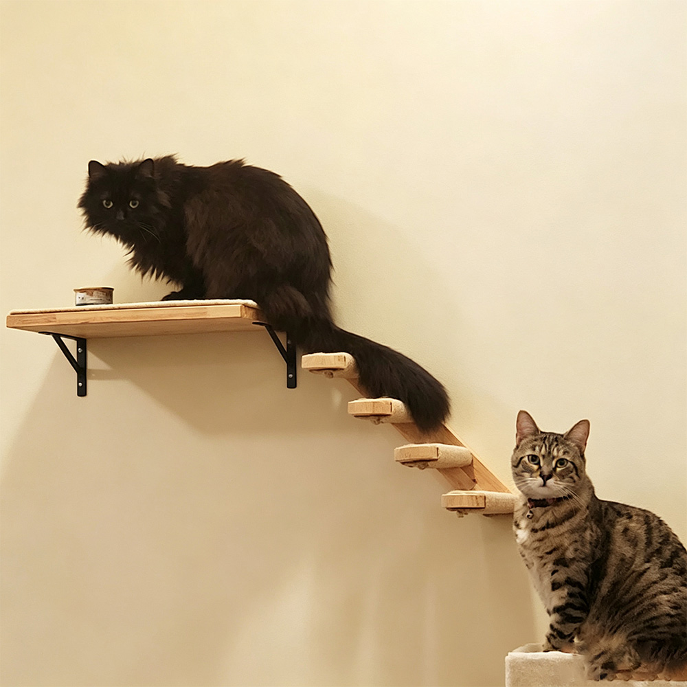 Cat Furniture Solid Wooden Sus - огляд і ціна Furniture Paradise & Hardware Ghaziabad Photos